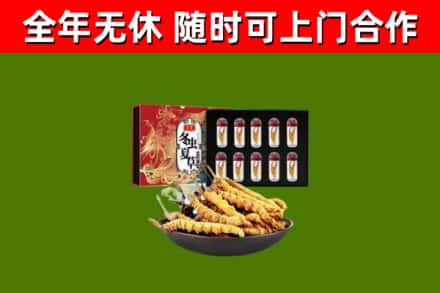阿勒泰市回收冬虫夏草价格