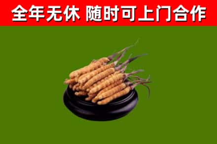 阿勒泰市烟酒回收冬虫夏草.jpg
